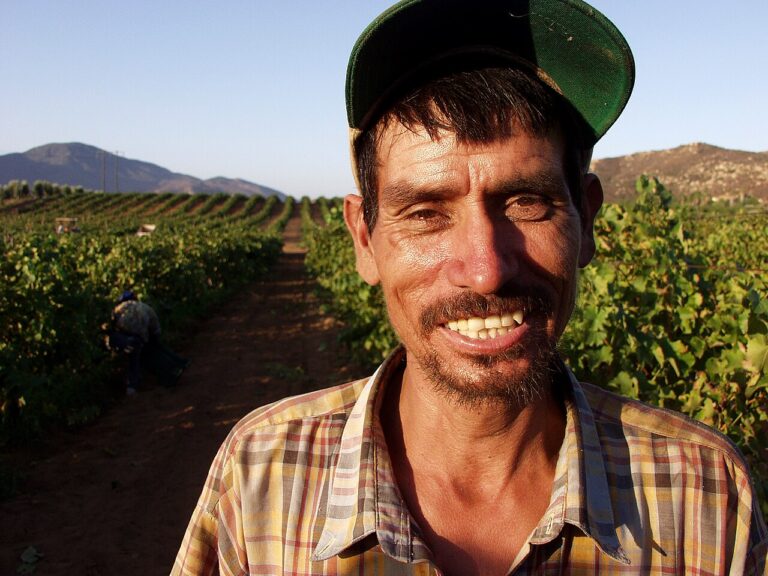 Vineyard Foreman/woman at Earlco Vineyards Ltd., Penticton BC (LMIA Requested)